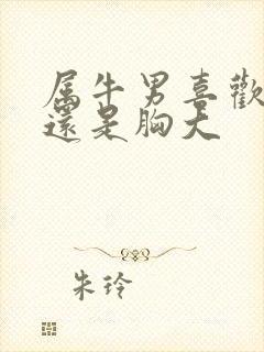 属牛男喜欢胸小还是胸大