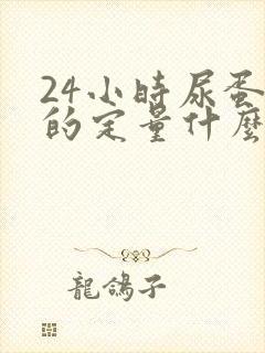 24小时尿蛋白的定量什么意思