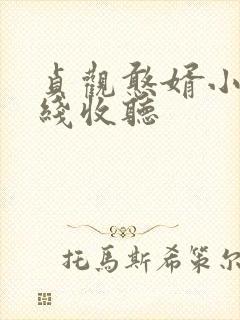 贞观憨婿小说在线收听