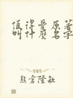 值得爱原著小说叫什么名字啊