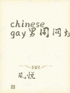 chinesegay男同网址