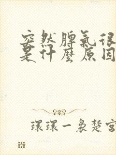 突然脾气很暴躁是什么原因