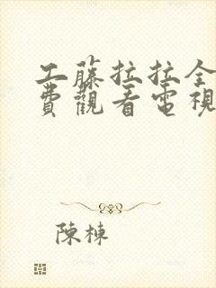 工藤拉拉全部免费观看电视剧