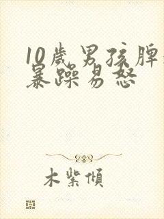 10岁男孩脾气暴躁易怒