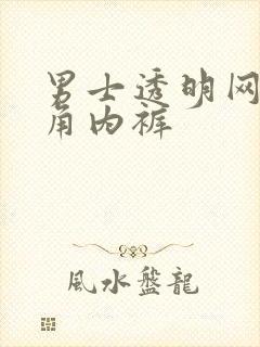 男士透明网纱三角内裤