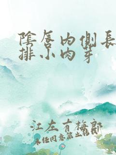 阴唇内侧长了两排小肉芽