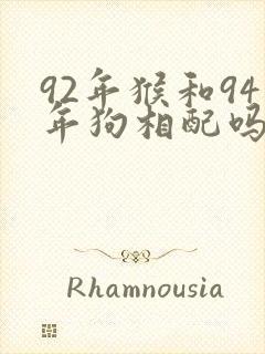 92年猴和94年狗相配吗