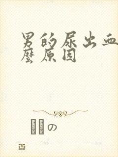 男的尿出血是什么原因