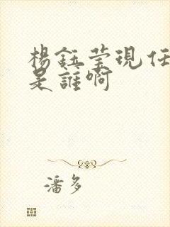 杨钰莹现任老公是谁啊