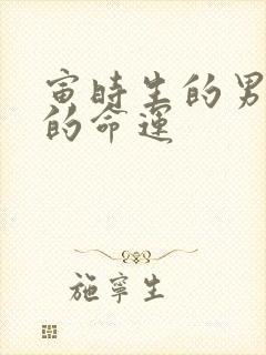 寅时生的男孩子的命运