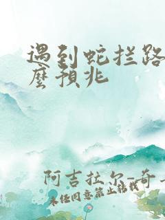 遇到蛇拦路有什么预兆