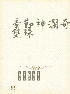 章节神澜奇域无双珠