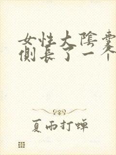 女性大阴囊唇外侧长了一个小疙瘩