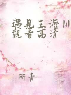 遇见王沥川免费观看高清