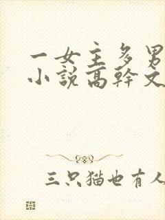 一女主多男主的小说高干文