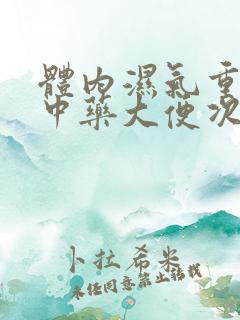 体内湿气重吃了中药大便次数变多了