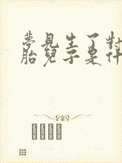 梦见生了对双胞胎儿子是什么意思