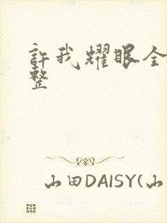 许我耀眼全集完整