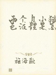 两个月小猫吐黄色液体是怎么回事