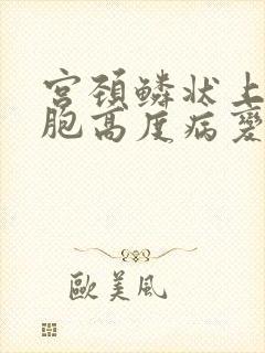 宫颈鳞状上皮细胞高度病变