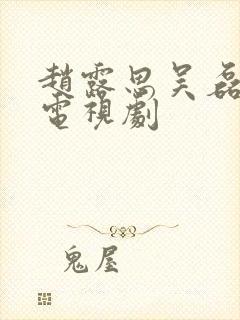 赵露思吴磊演的电视剧