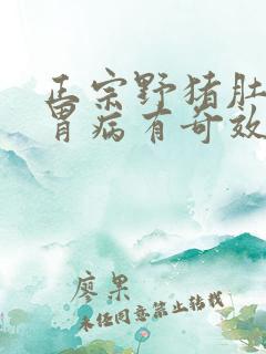 正宗野猪肚治疗胃病有奇效