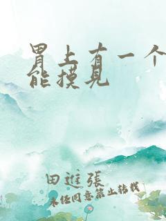 胃上有一个硬包能摸见