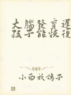 大脑发育迟缓的孩子能恢复正常吗