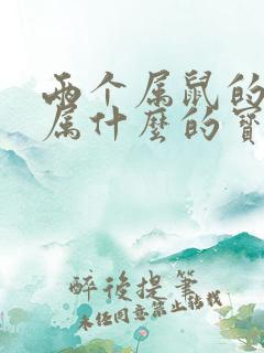 两个属鼠的人生属什么的宝宝