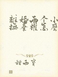 离婚两个小孩的抚养权怎么判