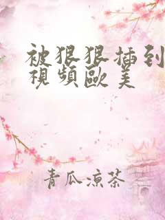 被狠狠插到高潮视频欧美