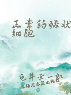 正常的鳞状上皮细胞