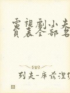 电视剧小夫妻演员表全部名单