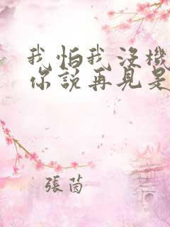 我怕我没机会跟你说再见是什么歌