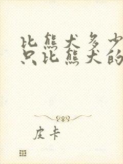 比熊犬多少钱一只比熊犬的价格行情