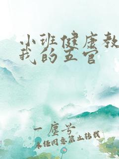 小班健康教案:我的五官