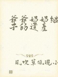 爷爷奶奶继承孙子的遗产