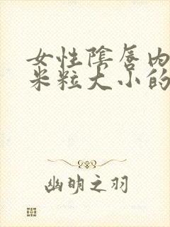 女性阴唇内长有米粒大小的丘疹