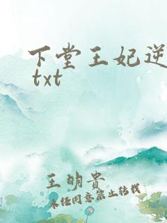 下堂王妃逆袭记 txt