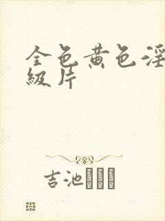 全色黄色淫a一级片