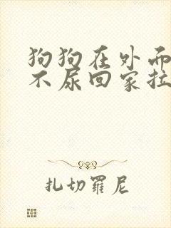 狗狗在外面不拉不尿回家拉尿怎么办