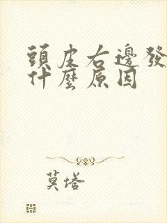 头皮右边发麻是什么原因