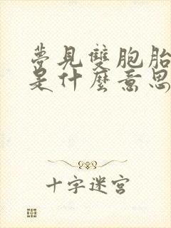 梦见双胞胎男孩是什么意思