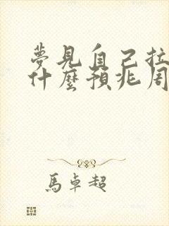 梦见自己拉大便什么预兆周公解梦