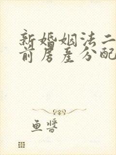 新婚姻法二婚婚前房产分配