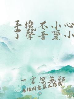 手机不小心进水了声音变小了怎么办