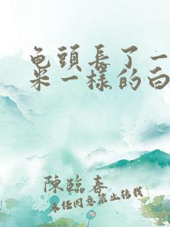 龟头长了一粒像米一样的白色疙瘩