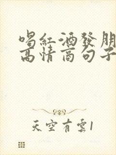 喝红酒发朋友圈高情商句子