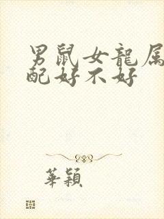 男鼠女龙属相婚配好不好