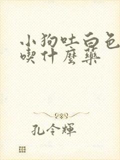 小狗吐白色粘液吃什么药